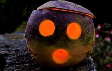 Interesting facts about the Irish and Halloween